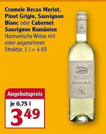 Globus Cramele Recas Merlot, Pinot Grigio, Sauvignon Blanc Oder Cabernet Sauvignon Rumänien Angebot