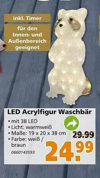 Globus Baumarkt Led Acrylfigur Waschbär Angebot