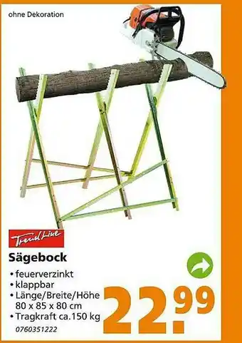 Globus Baumarkt Trendline Sägebock Angebot