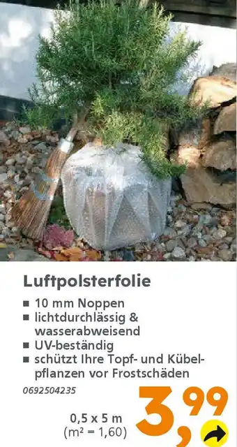 Globus Baumarkt Luftpolsterfolie Angebot
