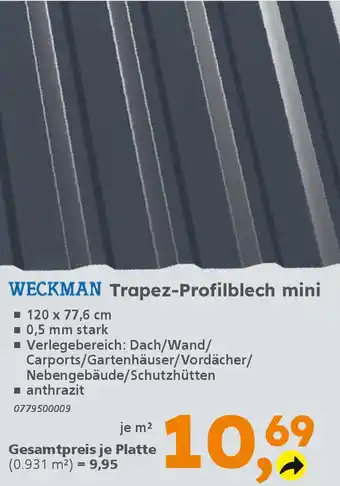 Globus Baumarkt WECKMAN Trapez-Profilblech mini Angebot