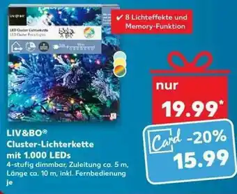 Kaufland Liv&bo Cluster-lichterkette Mit 1000 Leds Angebot