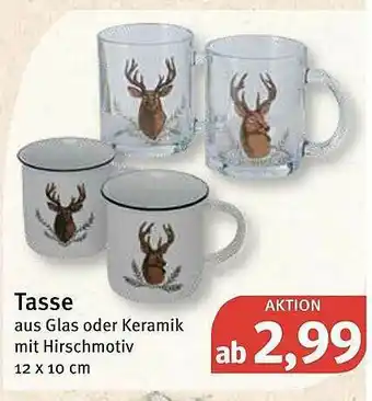 Feneberg Tasse Angebot