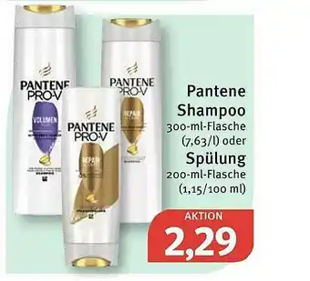 Feneberg Pantene Shampoo Oder Spülung Angebot