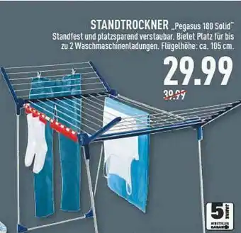 Marktkauf Standtrockner „pegasus 180 Solid“ Angebot