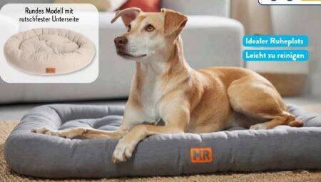 Gepolstertes Hundebett Angebot bei Aldi Sd