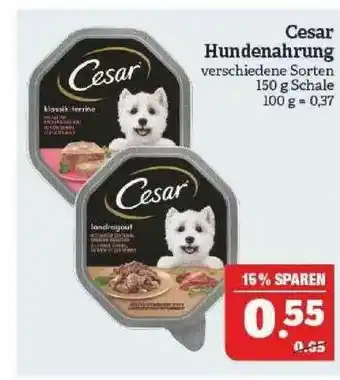 Marktkauf Cesar Hundenahrung Angebot