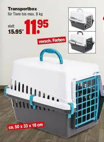 Repo Markt Transportbox Angebot