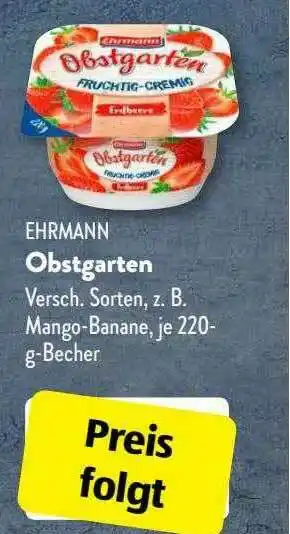 Aldi Süd Ehrmann Obstgarten Angebot