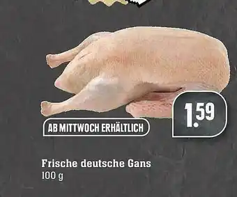 E-Center Frische Deutsche Gans Angebot