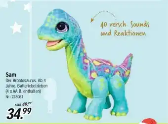 Rofu Kinderland Sam Der Brontosaurus Angebot