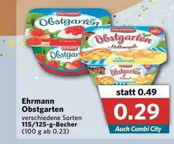 Combi Ehrmann Obstgarten Angebot