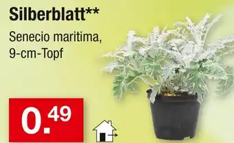 Zimmermann Silberblatt Angebot