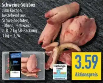 diska Schweine-Sülzbox Angebot