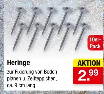Zimmermann Heringe Angebot