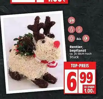 Edeka Rentier Bepflanzt Angebot