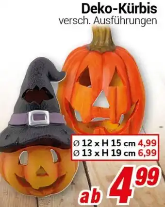 CENTERSHOP Deko-Kürbis Angebot
