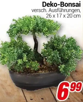 CENTERSHOP Deko-Bonsai Angebot
