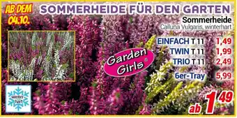 CENTERSHOP Garden Girls Sommerheide Angebot