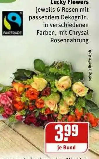 REWE Kaufpark Lucky Flowers Angebot