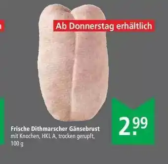 Marktkauf Frische Dithmarscher Gansebrust Angebot