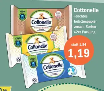 Aktiv Irma Cottonelle Feuchtes Toilettenpapier Angebot