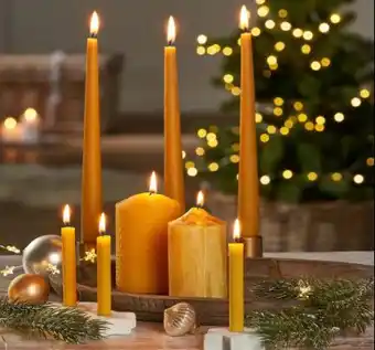 PENNY Bienenwachskerzen Angebot