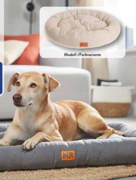 Gepolstertes Hundebett Angebot bei Aldi Nord