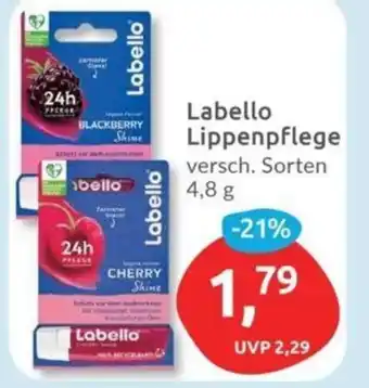 Budni Labello Lippenpflege Angebot