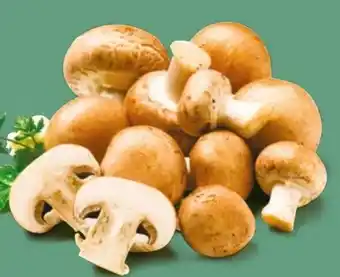 NETTO Kulturchampignons Angebot