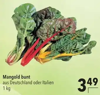 CITTI Markt Mangold bunt Angebot