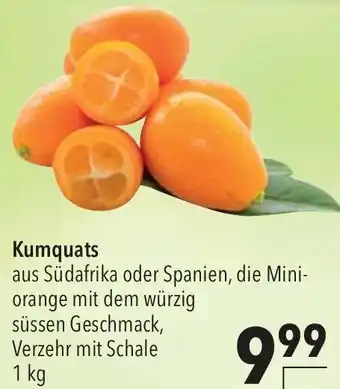 CITTI Markt Kumquats Angebot