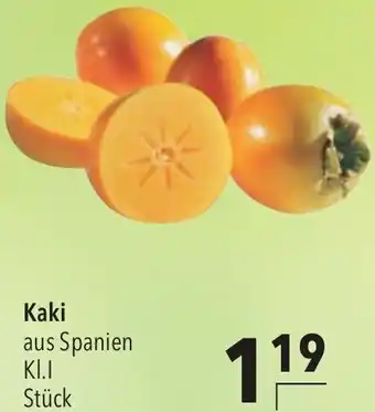 CITTI Markt Kaki Angebot