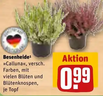 REWE Besenheide Angebot