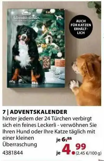 Dehner Adventskalender Angebot