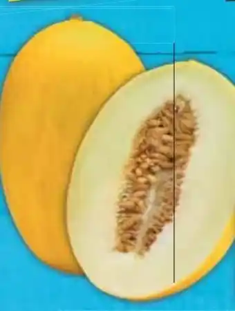 E-Center Honigmelone Angebot