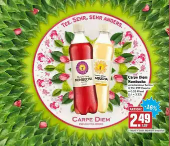 AEZ Carpe Diem Kombucha Angebot