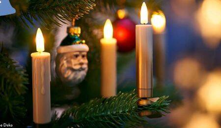 Kabellose Christbaumkerzen Angebot bei Aldi Nord