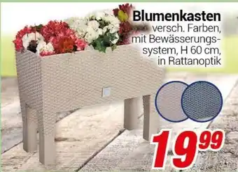 CENTERSHOP Blumenkasten Angebot