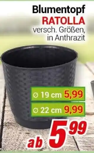 CENTERSHOP Blumentopf Ratolla Angebot