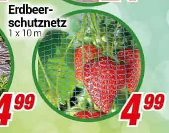 CENTERSHOP Erdbeerschutznetz Angebot