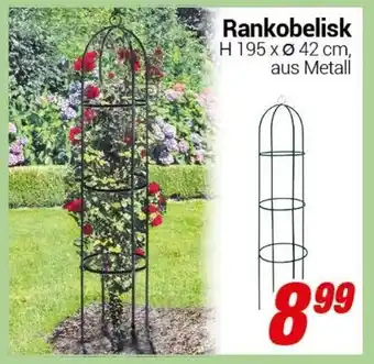 CENTERSHOP Rankobelisk Angebot