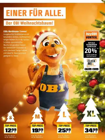 OBI Edle nordmann-tannen Angebot