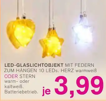 KODi Led-glaslichtobjekt mit federn Angebot