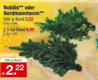 Zimmermann Nobilis oder nordmanntanne Angebot