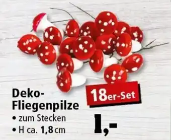 Thomas Philipps Deko Fliegenpilze Angebot