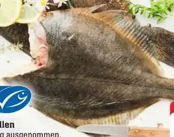 Edeka Scholle Küchenfertig Angebot