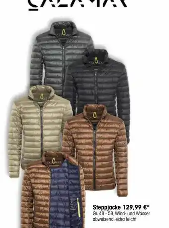 Baltz Steppjacke Angebot