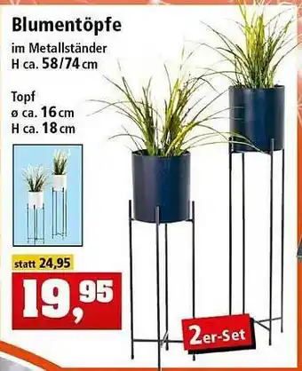 Thomas Philipps Blumentöpfe Angebot