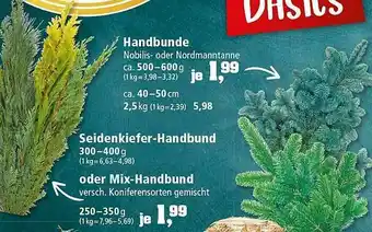 Thomas Philipps Handbunde, Seidenkiefer-handbund Oder Mix-handbund Angebot